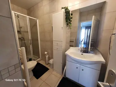 a bathroom with a sink and a shower and a toilet at T3 Vue mer bord de mer in Albitreccia