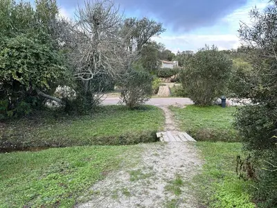 a dirt road in the middle of a field with trees at Mini-villa à 1 minute de la plage de Santa Giulia in Porto-Vecchio