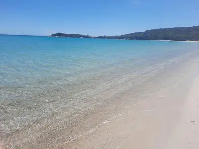 a beach with clear water and trees in the background at Mini villa a 300m de la plage in Zonza