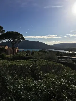 a hill with a tree and a body of water at Appartement Marina di santa giulia in Porto-Vecchio