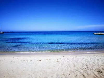 a sandy beach with a boat in the ocean at Auberge de Cannedda in Sari Solenzara