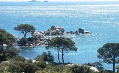 an island in the water with trees and rocks at BLU DI MARE Palombaggia in Porto-Vecchio
