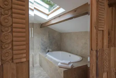 a bathroom with a bath tub and a skylight at Dominique Colonna in Corte