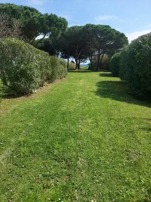 a field of green grass with trees in the background at T3 résidence privée proche plage et piscine in Poggio-Mezzana
