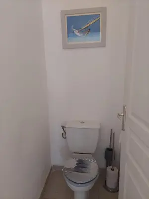 a bathroom with a toilet with a picture on the wall at T3 résidence privée proche plage et piscine in Poggio-Mezzana