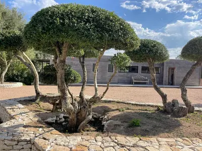 a group of trees in front of a building at Villa Gioia- Charme et sérénité in Bonifacio