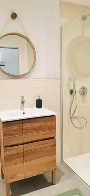 a bathroom with a sink and a shower at Casa PETRA et FIORI, une bergerie en pierres authentiques toute équipée - 4 personnes in Pietrosella