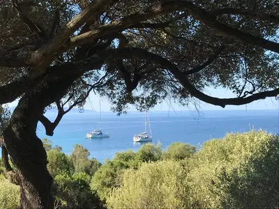 two boats floating in the water near a tree at Résidence Capizzolu in Cargèse