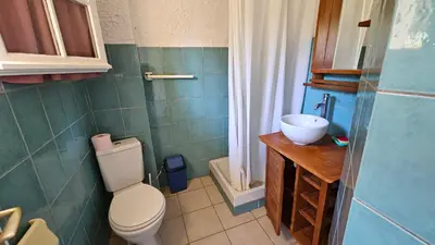 a bathroom with a toilet and a sink at LA PALGE Le Centuri in Linguizzetta