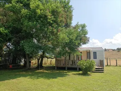 a tiny house in a yard with a tree at Camping Milella in Propriano