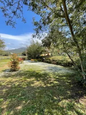 a large yard with trees and a grass field at Camping Milella in Propriano