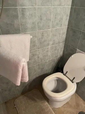 a bathroom with a toilet and towels on the wall at Les jardins de la mer marine de Bravone in Linguizzetta