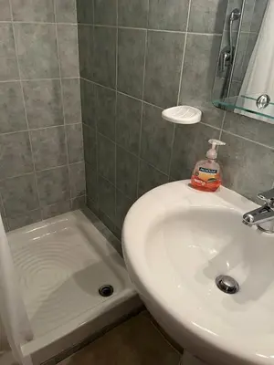 a bathroom with a sink and a toilet and a shower at Les jardins de la mer marine de Bravone in Linguizzetta
