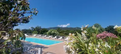 a view of a swimming pool with chairs and flowers at Porto Vecchio - Résidence RIVIERA - Villa Sogno in Lecci