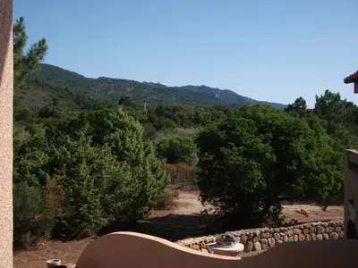 a view of a field with trees and a mountain at Porto Vecchio - Résidence RIVIERA - Villa Sogno in Lecci