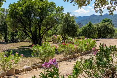 a garden with flowers and trees in the background at Porto Vecchio - Résidence RIVIERA - Villa Sogno in Lecci