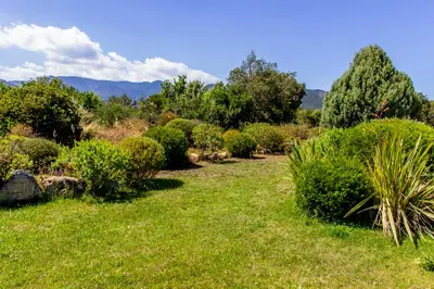 a garden with green grass and trees and bushes at Porto Vecchio - Résidence RIVIERA - Villa Sogno in Lecci
