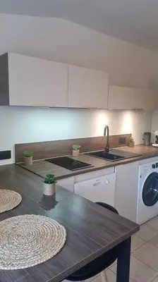 a kitchen with a sink and a washing machine at New Superbe F2 refait à neuf tout confort avec piscine et mer à pied in Serra-di-Ferro