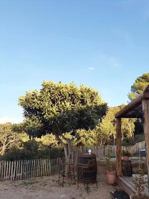 a table and chairs under a tree next to a fence at Tradition Corse & Modernité I Caseddi di Barabè in Granace