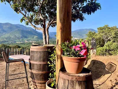 a patio with a table and two pots of flowers at Tradition Corse & Modernité I Caseddi di Barabè in Granace