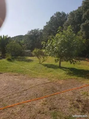 an orange string tied to a tree in a field at Bonifacio tranquillité paradis in SantʼAmanza