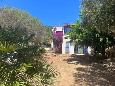 a house with a palm tree in front of it at Maison à 50 m de la plage, 10 personnes, 5 chambres en corse du sud, in Coti-Chiavari
