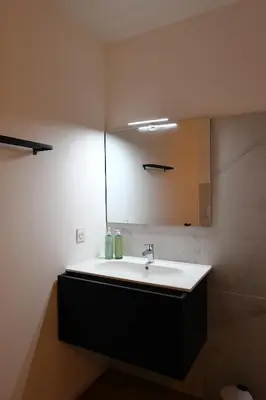 a bathroom with a sink and a mirror at La Pépite Corse - Magnifique T2 cabine vue mer in Pianottoli-Caldarello