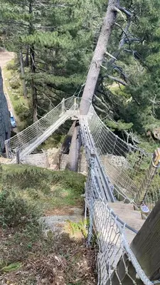 a suspension bridge on a hill with trees at Cocoon Village in Porto-Vecchio