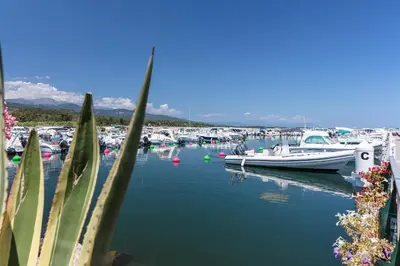 a group of boats docked in a harbor at Camping Sole Di Sari in Sari Solenzara