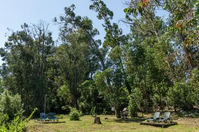 a park with two blue chairs and trees at Camping Sole Di Sari in Sari Solenzara