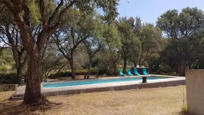 a swimming pool with blue chairs in a park at Gite de 90m2 proche de la mer avec grande piscine MONTI in Canale-di-Verde