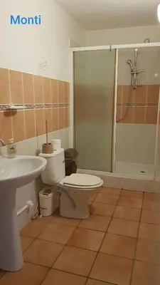 a bathroom with a toilet and a sink and a shower at Gite de 90m2 proche de la mer avec grande piscine MONTI in Canale-di-Verde