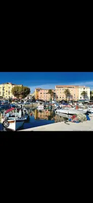 a group of boats are docked in a harbor at Charmant Studio à Ajaccio in Ajaccio