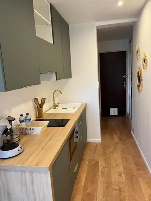 a kitchen with green cabinets and a wooden counter top at Charmant Studio à Ajaccio in Ajaccio