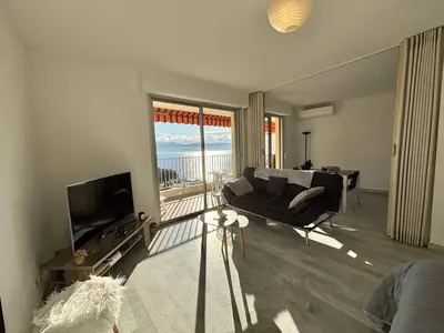 a living room with a couch and a television at Studio vue mer le Neptune sanguinaires Ajaccio in Ajaccio
