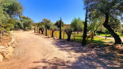 a dirt road with trees and a fence at Domaine de Gialla Bergerie Quercia, 2 pers, piscine chauffée, 10 mn plage in Arraggio