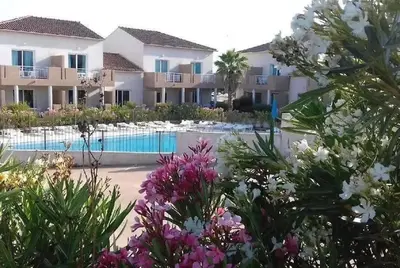 a bedroom with two beds and a vase of flowers at Appartement 3 étoiles - Piscine - ccaiibh in Linguizzetta