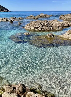 a beach with blue water and rocks and the ocean at Superbe Studio pieds dans l'eau - Parking gratuit - Terrasse - Emplacement idéal dans résidence de standing in Ajaccio