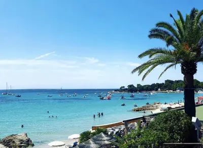 a beach with people in the water and a palm tree at Superbe Studio pieds dans l'eau - Parking gratuit - Terrasse - Emplacement idéal dans résidence de standing in Ajaccio