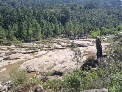 a view of a river with rocks and trees at Villa Stellalilou in Porto-Vecchio