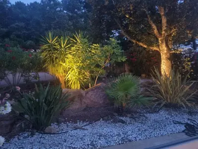a garden with plants and a stone wall at Villa Stellalilou in Porto-Vecchio