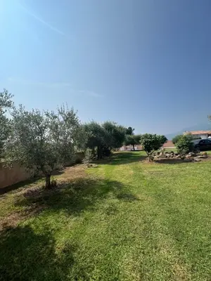 an apple tree in a field of green grass at Villa Santa Rita in Lucciana