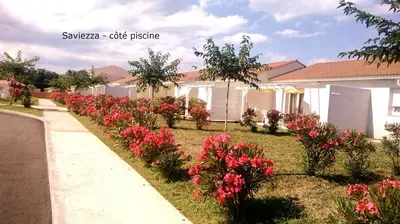 a row of flowers in a yard next to a house at Villa bord de mer,3 chambres, piscine chauffée, climatisée in Cervione