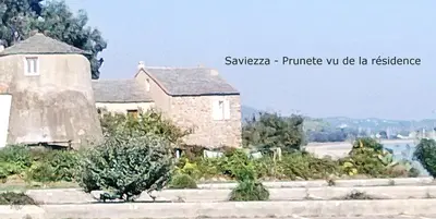 a painting of a house with a house at Villa bord de mer,3 chambres, piscine chauffée, climatisée in Cervione