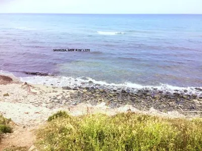 a beach with the words survival may not be life at Villa bord de mer,3 chambres, piscine chauffée, climatisée in Cervione
