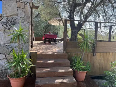 a garden with a wooden staircase and a table with plants at Les Bergeries de Petralonga in Sotta