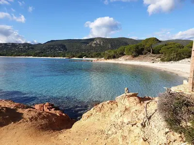 a view of a beach with trees and water at Studio pour 2 personnes à 700m de la plage de palombaggia in Porto-Vecchio