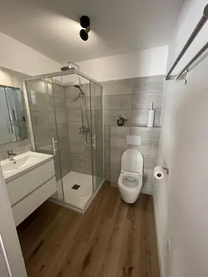 a bathroom with a shower and a toilet and a sink at Studio 47 Cala Rossa Porto Vecchio in Lecci