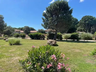 a park with flowers and a rock and a tree at Studio 47 Cala Rossa Porto Vecchio in Lecci