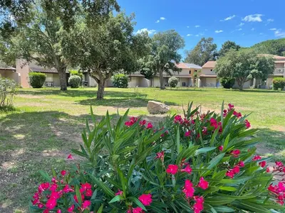 a garden with pink flowers in a yard at Studio 47 Cala Rossa Porto Vecchio in Lecci